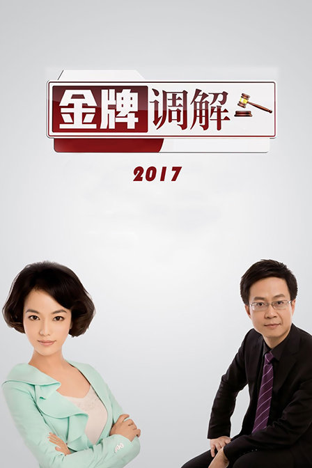 金牌调解2017最新一期，探索和解之道的力量与智慧之道