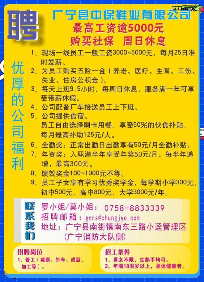 普宁制衣厂最新招聘启事，职位空缺与职业发展机会