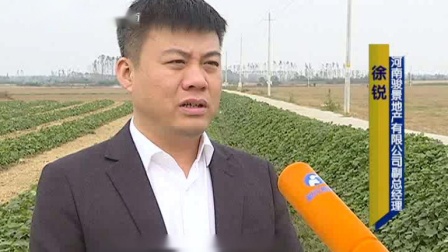 乡村振兴领航者，新任第一书记的担当与作为